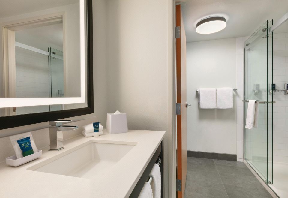 一卧室套房，1卧室2房套房，1张特大床，梳化床