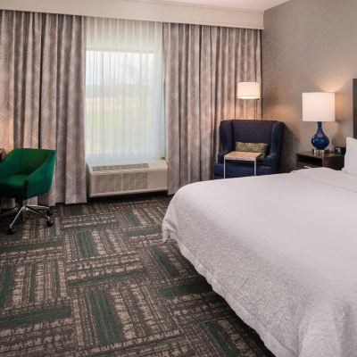 Mobility Access King Room with Roll in Shower Hampton Inn Paragould Promo Code
