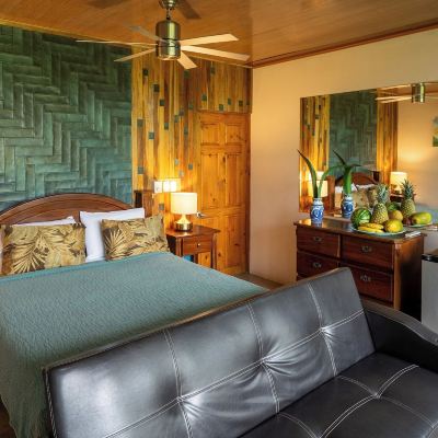 Tree Top Canopy Boutique Hotel Las Cascadas the Falls Promo Code