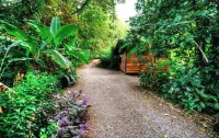 La Shamana - Ecological Concept in Jungle Hôtels à : 