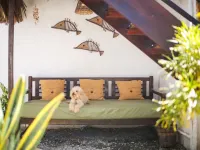 Mandala Hostel โรงแรมในเจริโคโคร่า
