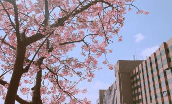 a large tree with pink flowers in front of a building , creating a picturesque scene at SHIROYAMA HOTEL kagoshima
