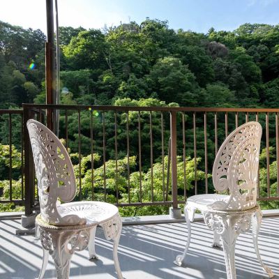 和風スタンダードBタイプ客室 8(10畳) (2~3名様用)[スタンダード][和室][喫煙] 箱根温泉　鶴井の宿　紫雲荘 クーポン