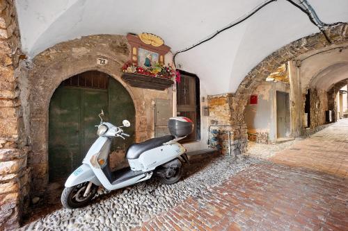 高级一卧室公寓