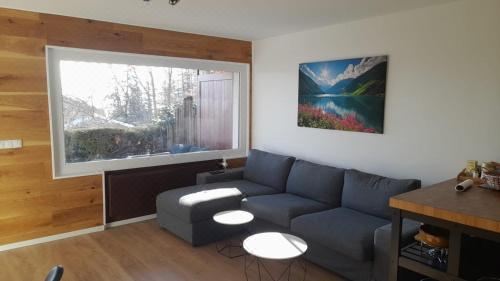 Hautes Roches - Magnifique Vue Sur la MontagneApartment with Mountain View