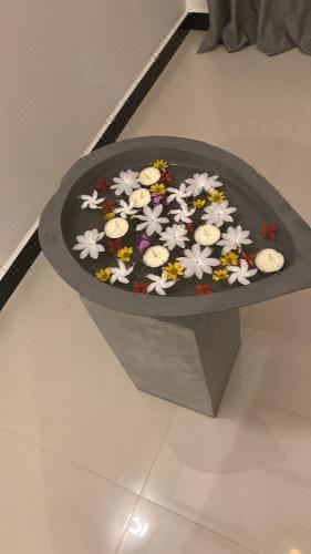 别墅（带独立泳池）