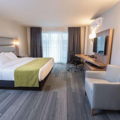 Superior Room, 1 King Bed (Rive Gauche) Hôtel Rive Gauche Promo Code