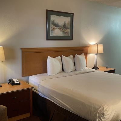 Standard Queen Room Skyway Inn - Seatac Promo Code