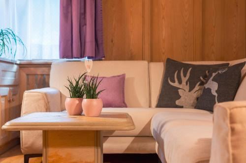 高级三卧室公寓