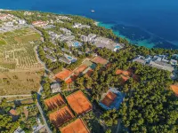Bluesun Hotel Borak Hotels in 