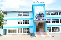 Blue Palm Hotel Hotels in 