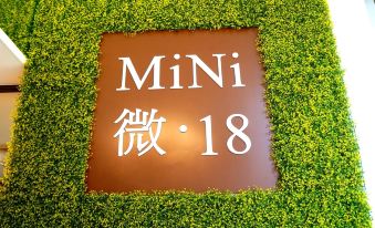 Mini 18