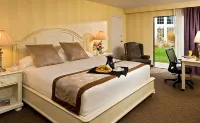 Margaritaville Resort Cape Cod