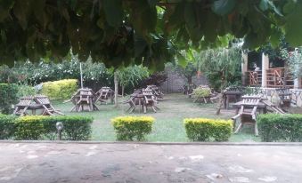 Lavic Country Resort - Housity