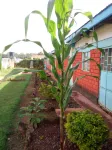 Summary Guest House Hotels in 