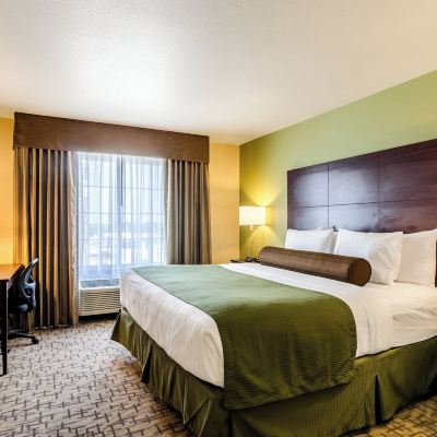 Studio, 1 King Bed, Audible Visual Alert, Non Smoking Cobblestone Hotel & Suites - McCook Promo Code