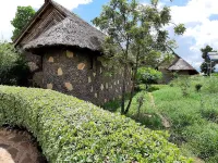 AA Lodge Amboseli Hotels in 
