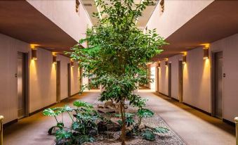 Cities of Gold Casino - Housity