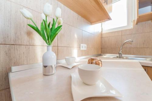 一卧室公寓（带阳台）