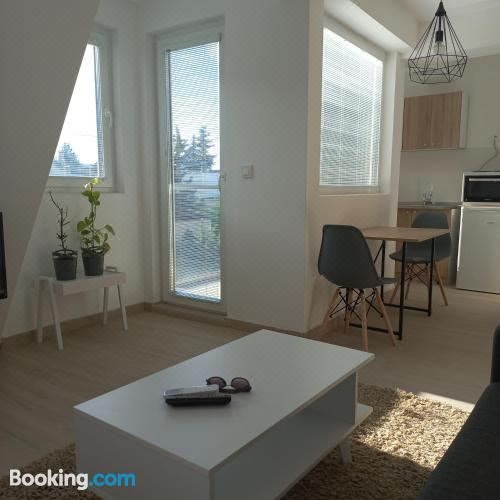 开放式客房， 山景