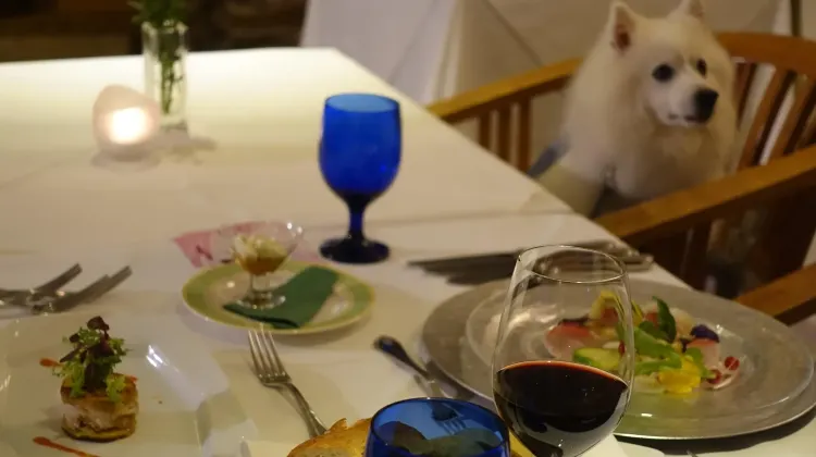 ホテル 四季の蔵 食事・レストラン