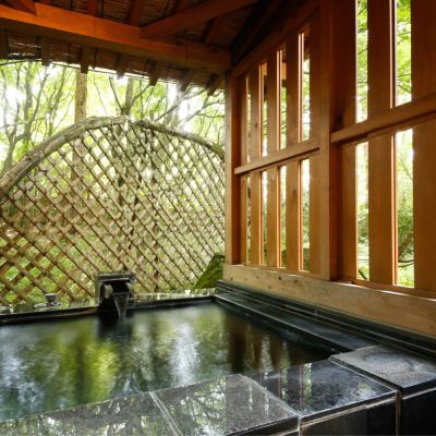 Japanese-Style Room With Open-Air Hot Spring Bath (Type Na) たてしな藍 クーポン