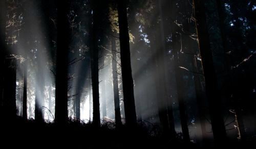 双人房（带独立浴室）