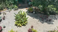 Pukyo Bed and Breakfast Belgian Lao Hotels in 
