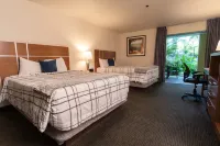 Lemon Tree Inn