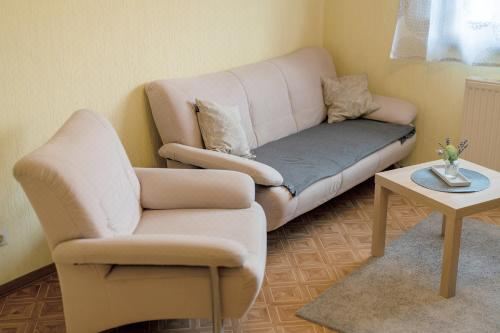 高级两卧室公寓