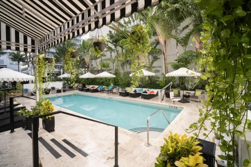 Hotel Croydon Miami Beach