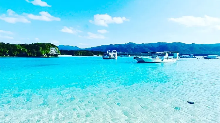 石垣島 ゲストハウス オプンティア 施設