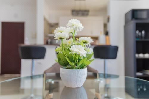 公寓 - 地面楼层