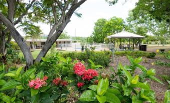 a lush green garden with trees , flowers , and a gazebo in the background , under a clear blue sky at Hillview Motel