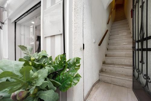 高级一卧室带阳台公寓