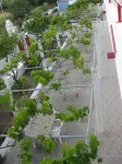 Stenna Apartments