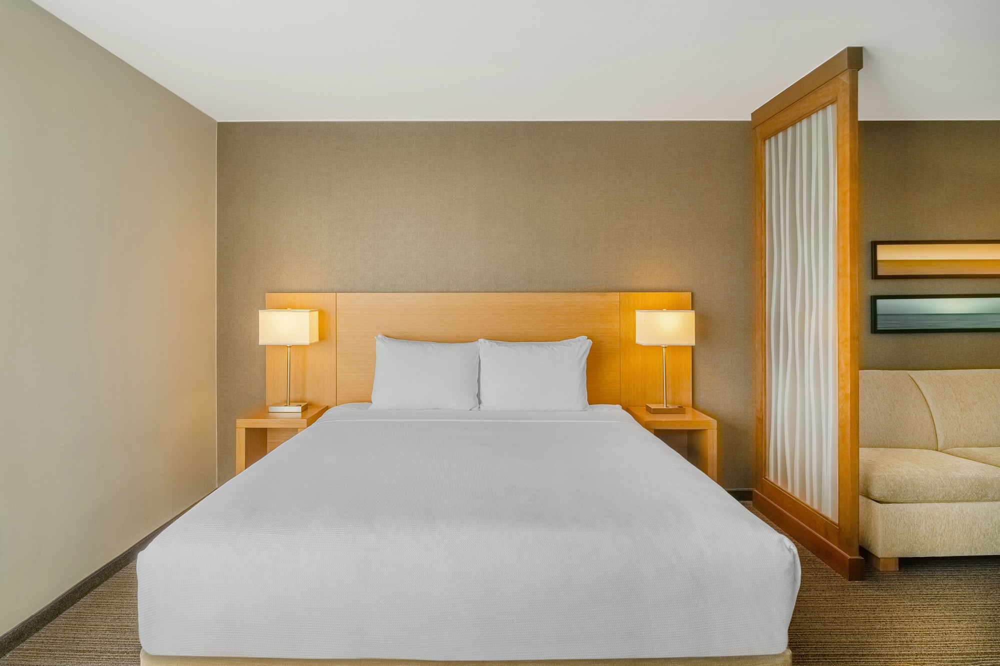 凯悦特大床房（带梳化床）