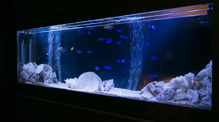 ホテル アトランティス 大津店 施設