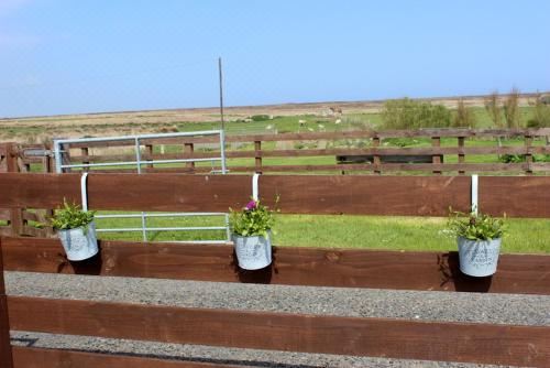 Hillside Camping Pods and Shepherd's HutSuperior Chalet