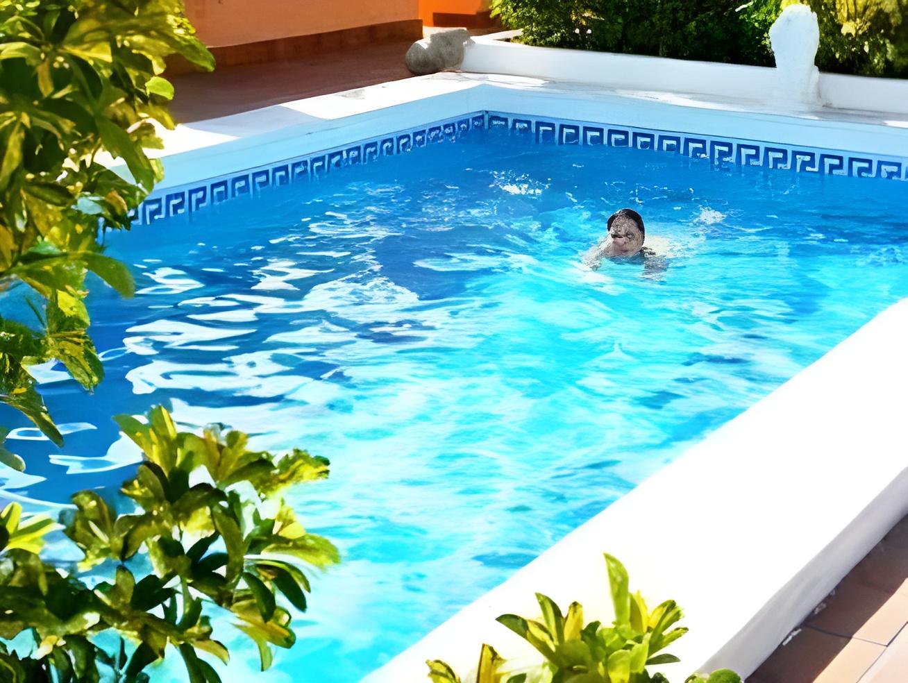 4Dreams Hotel ChimisaySingle room