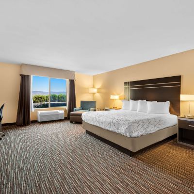 1 King Bed, Non-Smoking, Partial View, Microwave And Refrigerator, Wi-Fi Best Western Topaz Lake Inn Promo Code