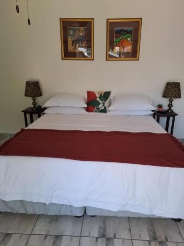 园景豪华双人或双床间