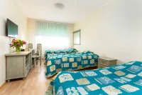 Hotel Dzingel Hotel a 