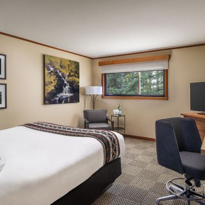 Room (Windows On The Gorge) Skamania Lodge Promo Code