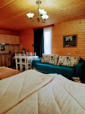 Family Hotel Maia Отели в г. 
