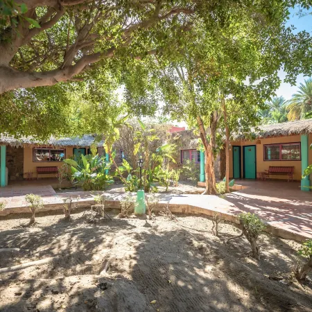 Hotel Oasis