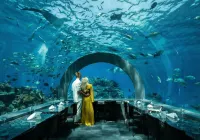 You & Me Maldives  - Adults Only - Premium All-Inclusive Hotel a 