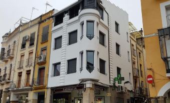 Plasencia Plaza Mayor Luxury - Housity