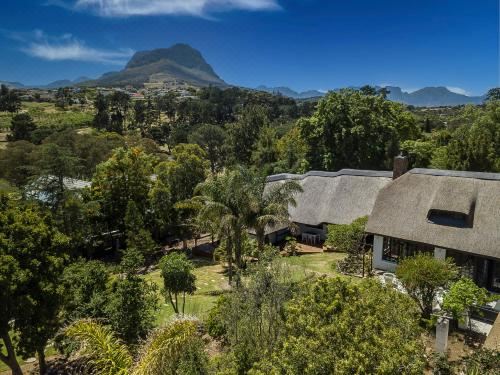 豪华特大床套房