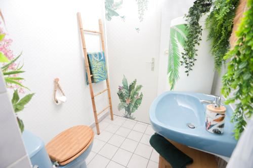 开放式客房， 山景